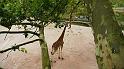 P1000123_De giraffenuitkijk